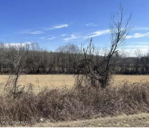 Clear Creek Road, Lamar, MS 38642 photo 11