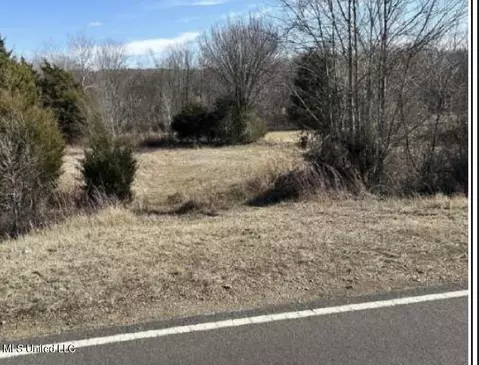 Clear Creek Road, Lamar, MS 38642 photo 4