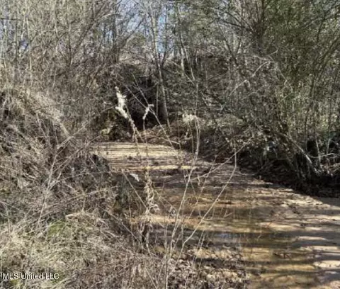 Clear Creek Road, Lamar, MS 38642 photo 12