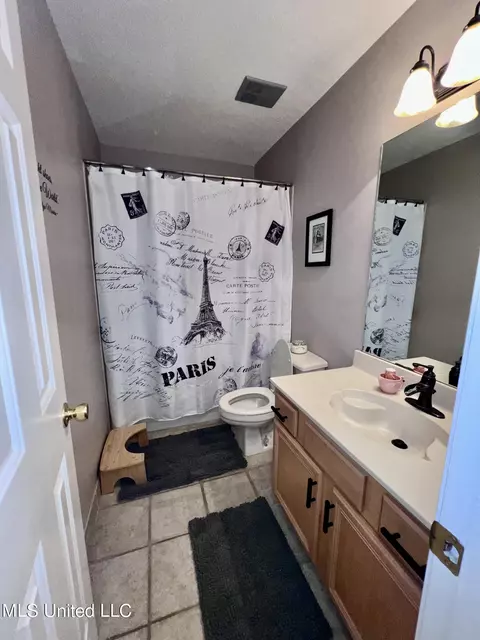 Bath - 6351 Cheyenne Dr, Olive Branch, MS 38654 photo 5 of 5