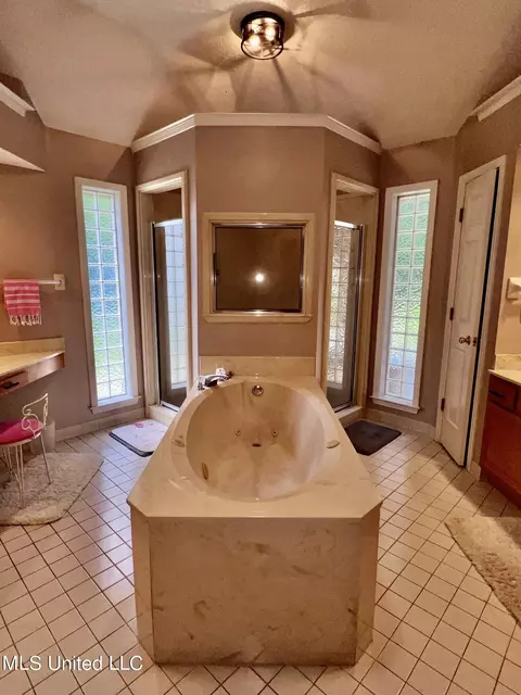 Bath - 6351 Cheyenne Dr, Olive Branch, MS 38654 photo 3 of 5