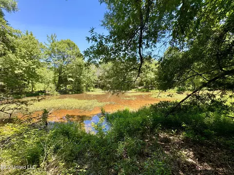 Davis Chapel Road, Sardis, MS 38666 photo 52