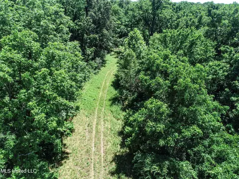Davis Chapel Road, Sardis, MS 38666 photo 35