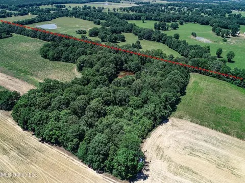 Davis Chapel Road, Sardis, MS 38666 photo 38