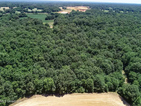 Davis Chapel Road, Sardis, MS 38666 photo 32
