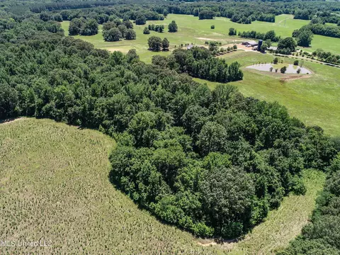 Davis Chapel Road, Sardis, MS 38666 photo 30