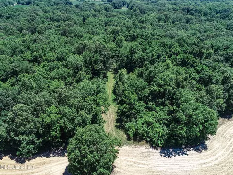 Davis Chapel Road, Sardis, MS 38666 photo 33