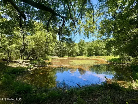 Davis Chapel Road, Sardis, MS 38666 photo 49
