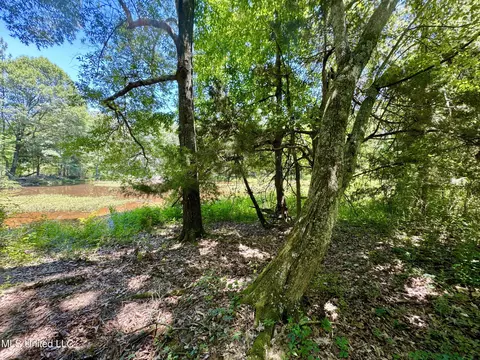 Davis Chapel Road, Sardis, MS 38666 photo 47