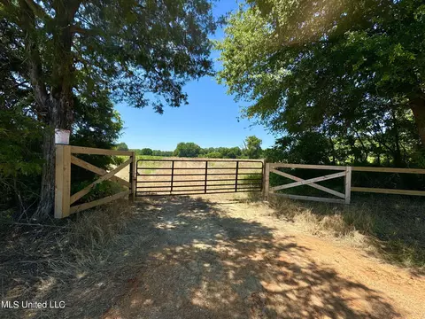 Davis Chapel Road, Sardis, MS 38666 photo 4