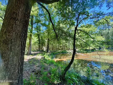Davis Chapel Road, Sardis, MS 38666 photo 48