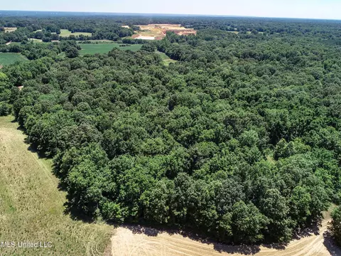Davis Chapel Road, Sardis, MS 38666 photo 45