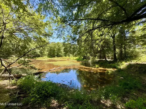 Davis Chapel Road, Sardis, MS 38666 photo 50