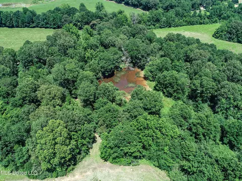 Davis Chapel Road, Sardis, MS 38666 photo 27