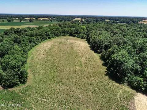 Davis Chapel Road, Sardis, MS 38666 photo 37