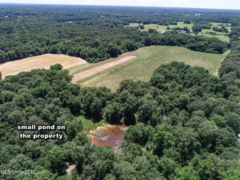 Davis Chapel Road, Sardis, MS 38666 photo 22