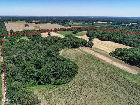 Davis Chapel Road, Sardis, MS 38666 photo 29
