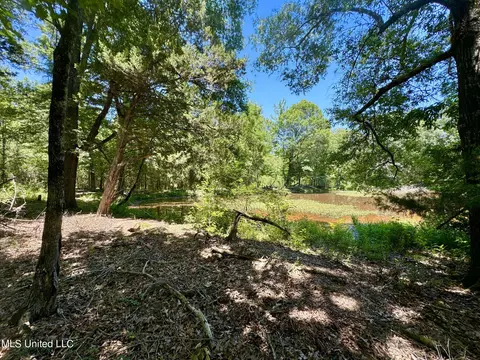 Davis Chapel Road, Sardis, MS 38666 photo 46