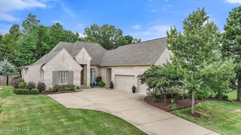 117 Eagle Cv, Madison, MS 39110