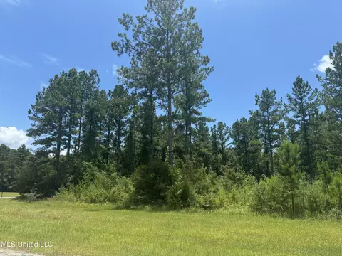 Tbd Eagle Ridge Rd, Vancleave, MS 39565 photo 6