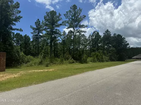 Tbd Eagle Ridge Rd, Vancleave, MS 39565 photo 7