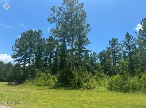 Tbd Eagle Ridge Rd, Vancleave, MS 39565 photo 4