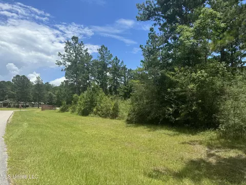 Tbd Eagle Ridge Rd, Vancleave, MS 39565 photo 5