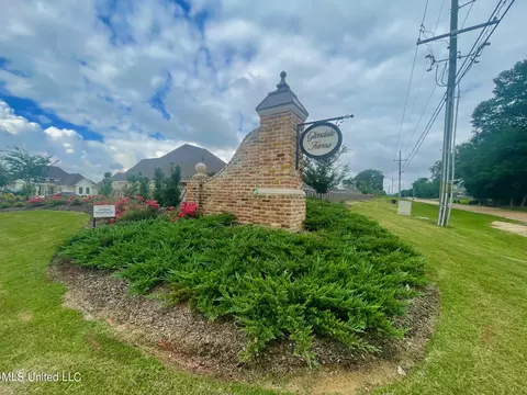 236 Baleigh Dr, Canton, MS 39046 photo 49