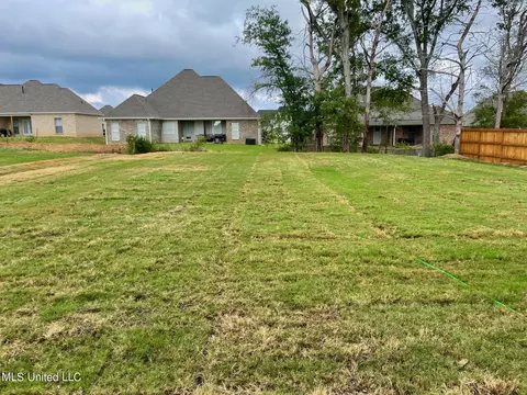 236 Baleigh Dr, Canton, MS 39046 photo 6