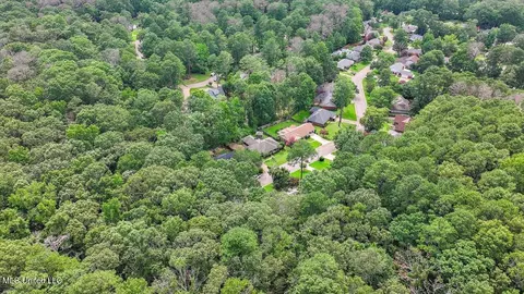 161 Hanover Dr, Brandon, MS 39047 photo 38