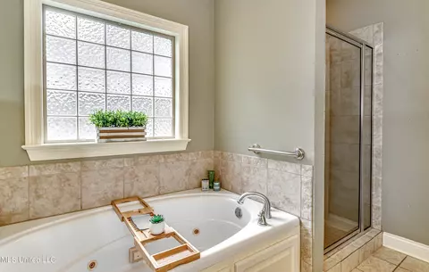Bath - 142 Pine Ridge Cir, Brandon, MS 39047 photo 1 of 7