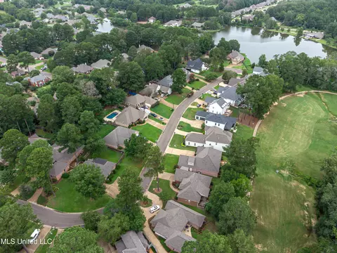View/Area - 142 Pine Ridge Cir, Brandon, MS 39047 photo 3 of 3