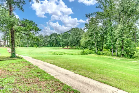 Other - 142 Pine Ridge Cir, Brandon, MS 39047 photo 2 of 13
