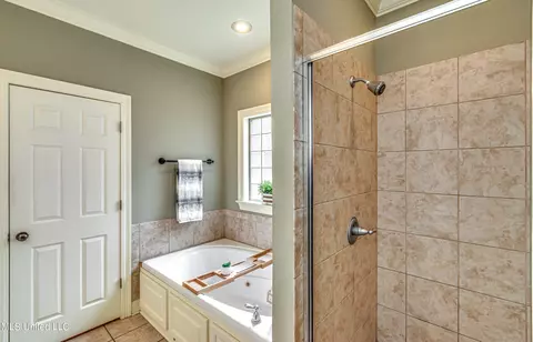 Bath - 142 Pine Ridge Cir, Brandon, MS 39047 photo 3 of 7