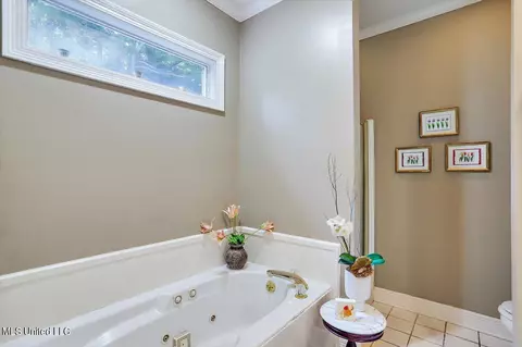 Bath - 50 Azalea Pl, Brandon, MS 39047 photo 3 of 5