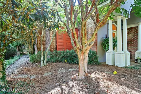 Exterior - 50 Azalea Pl, Brandon, MS 39047 photo 2 of 7
