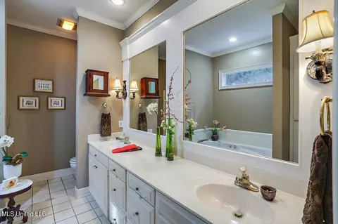 Bath - 50 Azalea Pl, Brandon, MS 39047 photo 2 of 5