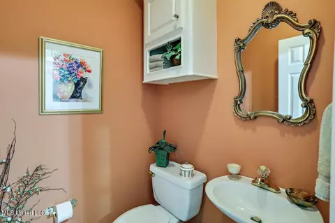 Bath - 50 Azalea Pl, Brandon, MS 39047 photo 1 of 5
