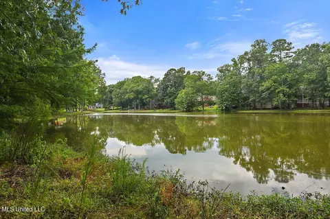 118 Pimlico Dr, Brandon, MS 39042 photo 51