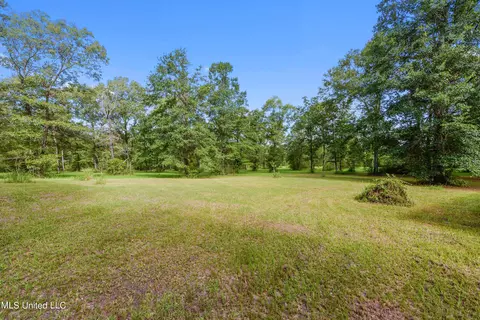 176 Long Leaf Rd, Lucedale, MS 39452 photo 18