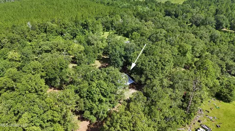 176 Long Leaf Rd, Lucedale, MS 39452 photo 27