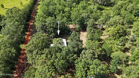176 Long Leaf Rd, Lucedale, MS 39452 photo 22