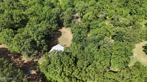 176 Long Leaf Rd, Lucedale, MS 39452 photo 21