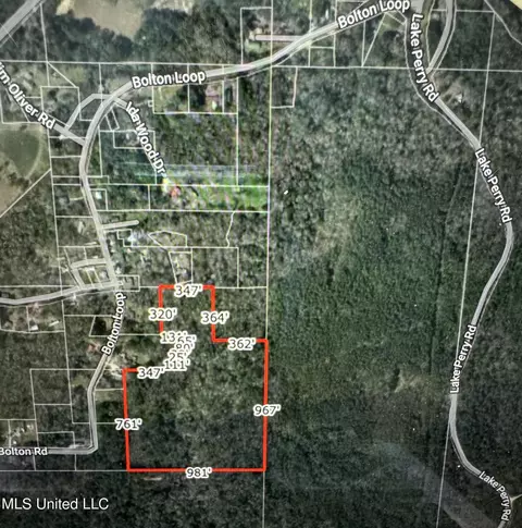 00 Bolton Loop, Beaumont, MS 39423 photo 2