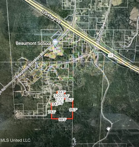 00 Bolton Loop, Beaumont, MS 39423 photo 3