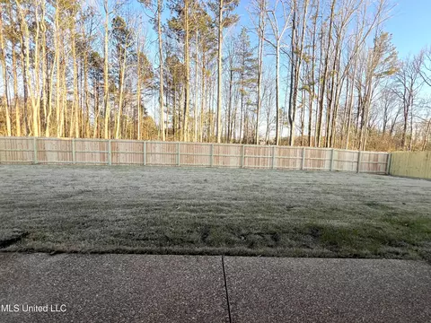 2406 Scott Meadows Ln, Hernando, MS 38632 photo 5
