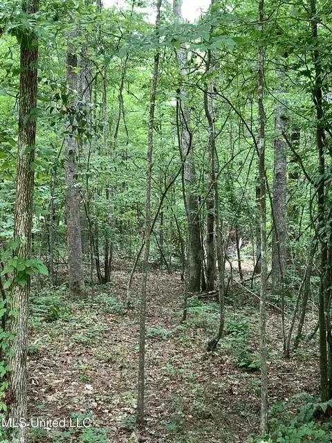 0 David Watkins Dr, Brandon, MS 39042
