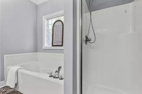 Bath - 205 Pecan Cir, Brandon, MS 39042 photo 2 of 5