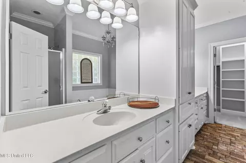 Bath - 205 Pecan Cir, Brandon, MS 39042 photo 1 of 5