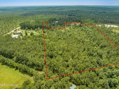 Old River Road, Vancleave, MS 39565 photo 10